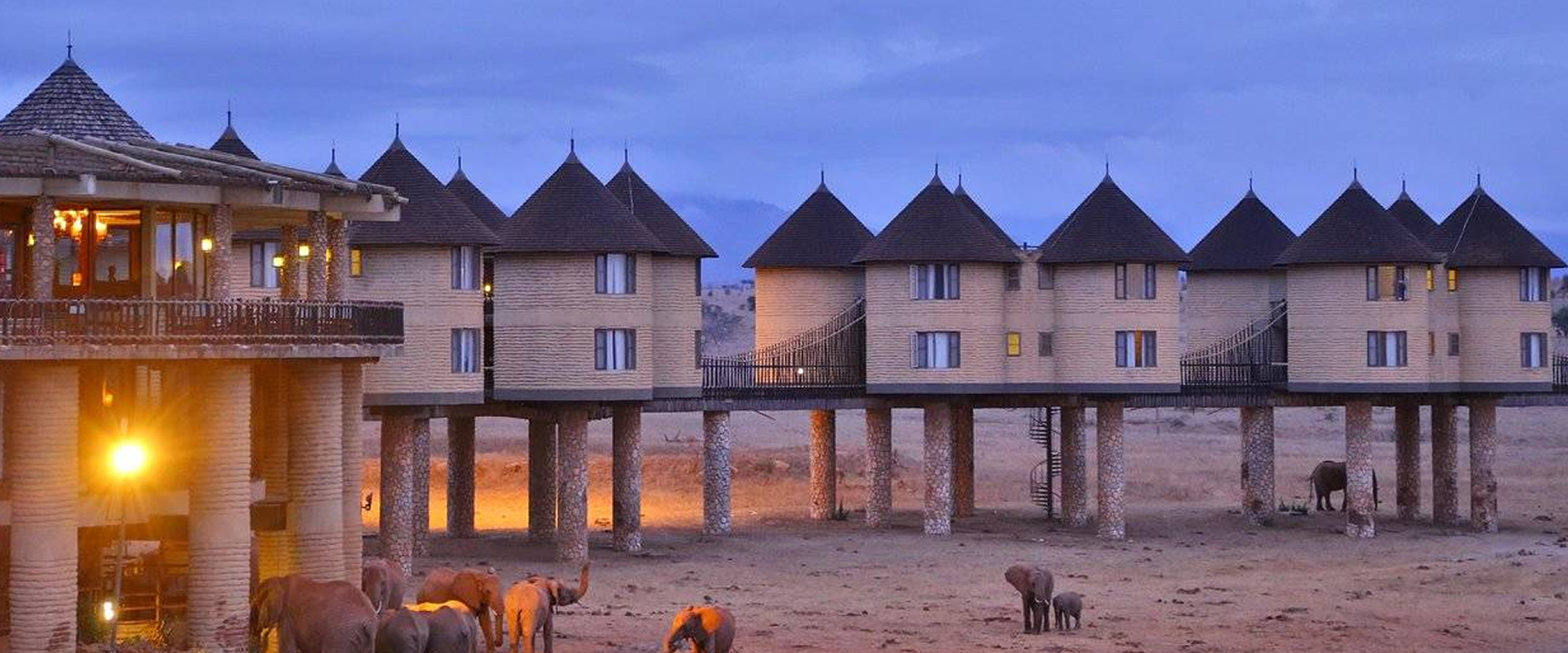 Taita Hills Salt Lick safari