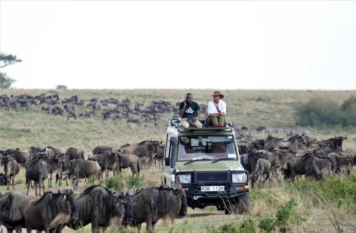 Amboseli Lake Nakuru Masai Mara safari