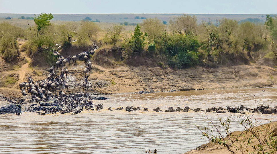 9 Days Amboseli, Lake Nakuru, Lake Bogoria, Masai Mara & Lake Naivasha Safari gallery image 5